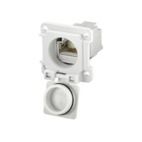 魏德米勒 接插件 RockStar?ModuPlug  工業(yè)以太網(wǎng)  訂貨號  8808450000  / IE-XM-RJ45/RJ45-IP67
